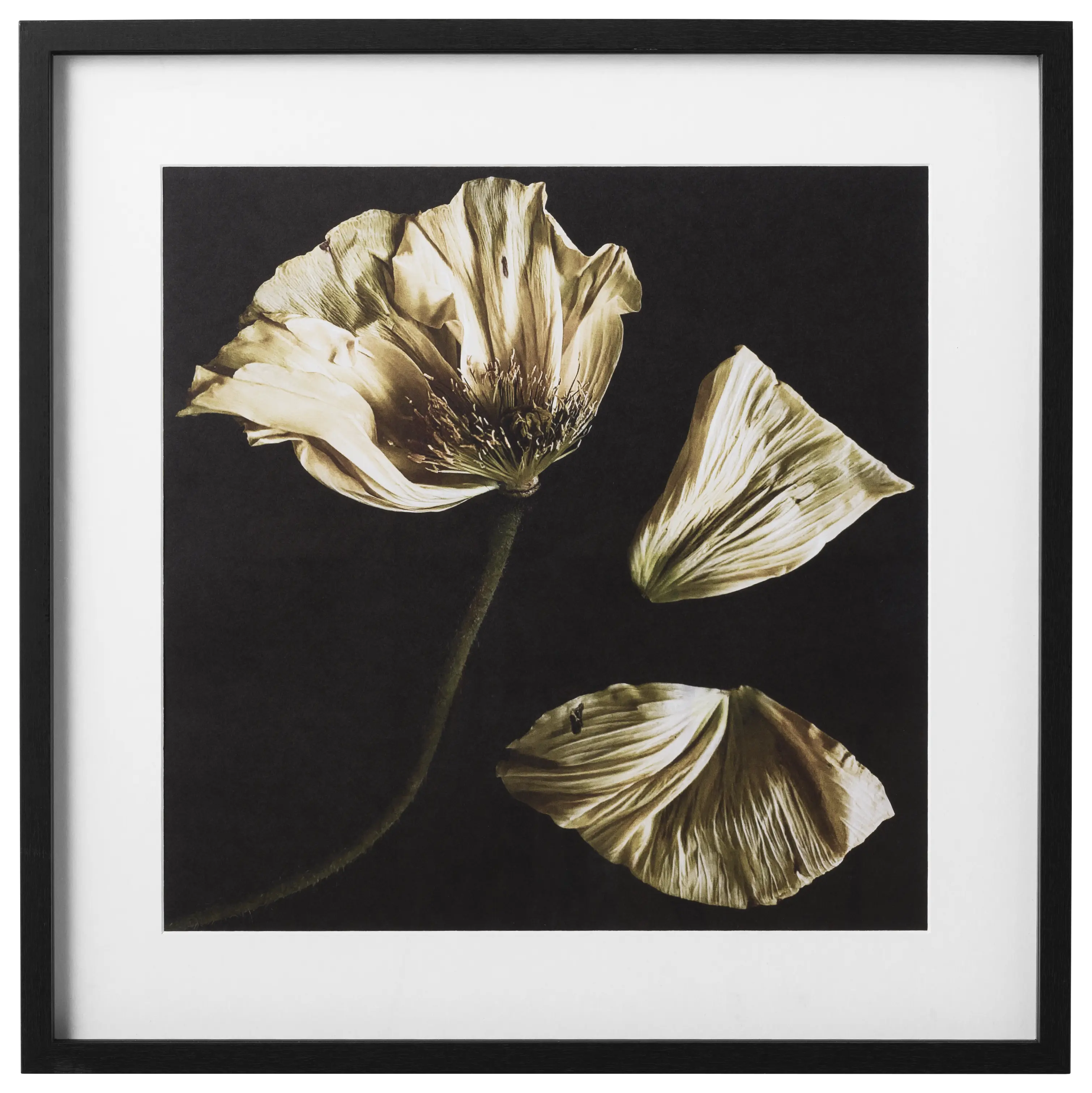 Modern Contemporary Wall Art | Contemporary Design - Black